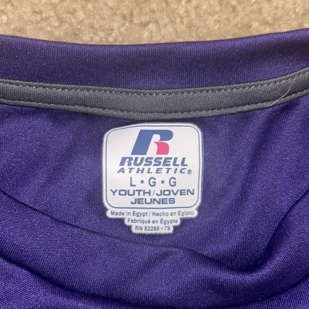 UAlbany Great Danes Youth L Tee | Russell Athletic Boys L Purple College Shirt - Picture 2 of 2